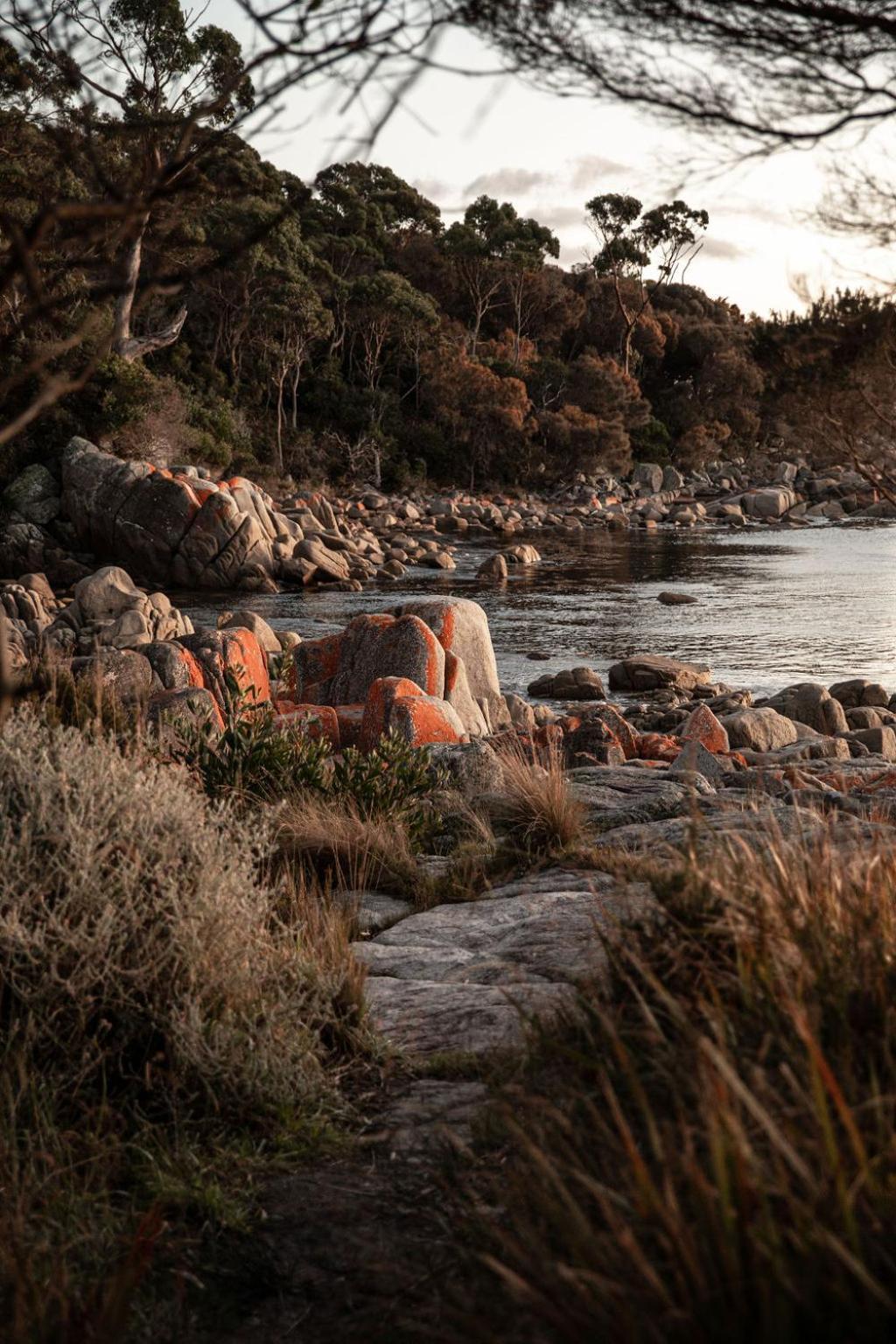 Villa Driftwood Rest Binalong Bay Sleeps 4 Esterno foto