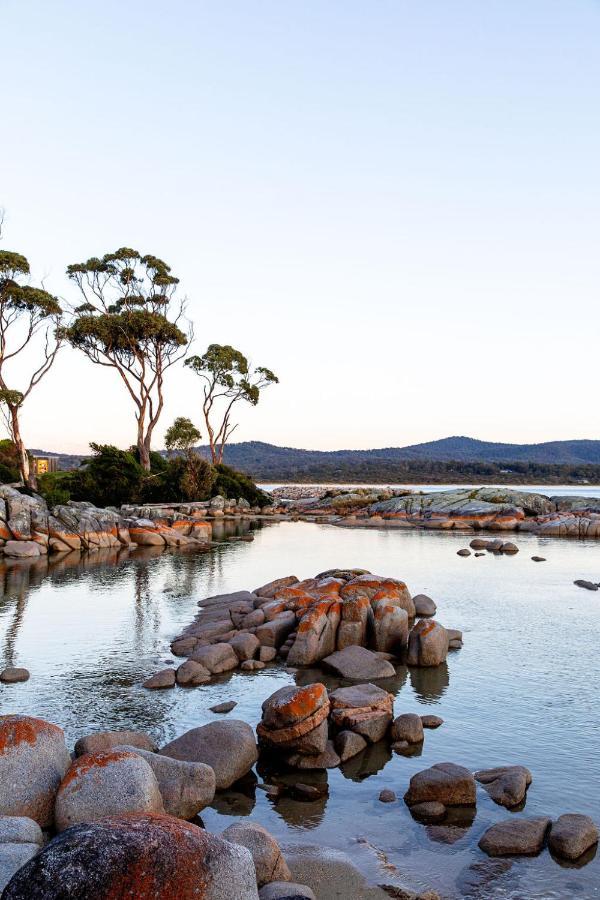 Villa Driftwood Rest Binalong Bay Sleeps 4 Esterno foto